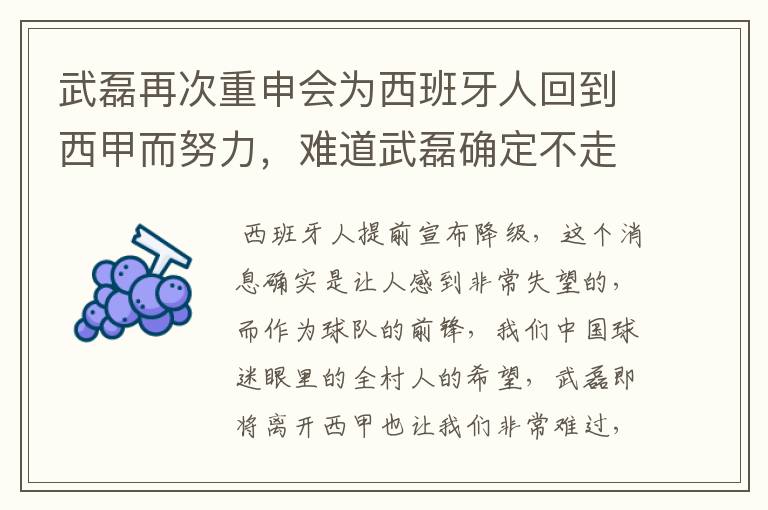 武磊再次重申会为西班牙人回到西甲而努力,难道武磊确定不走了?