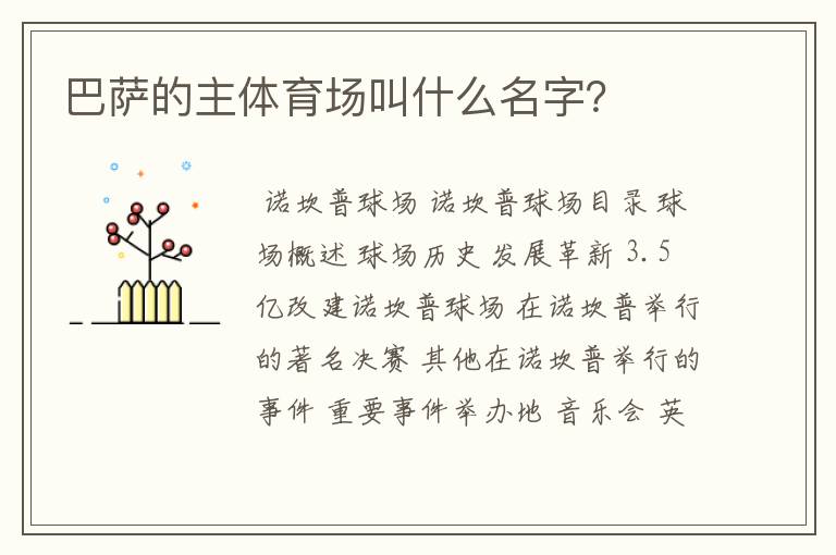 巴萨的主体育场叫什么名字?