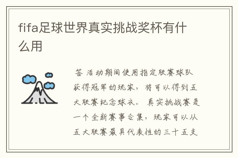 fifa足球世界真实挑战奖杯有什么用