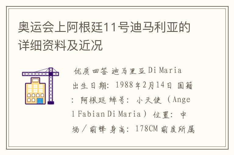 奥运会上阿根廷11号迪马利亚的详细资料及近况