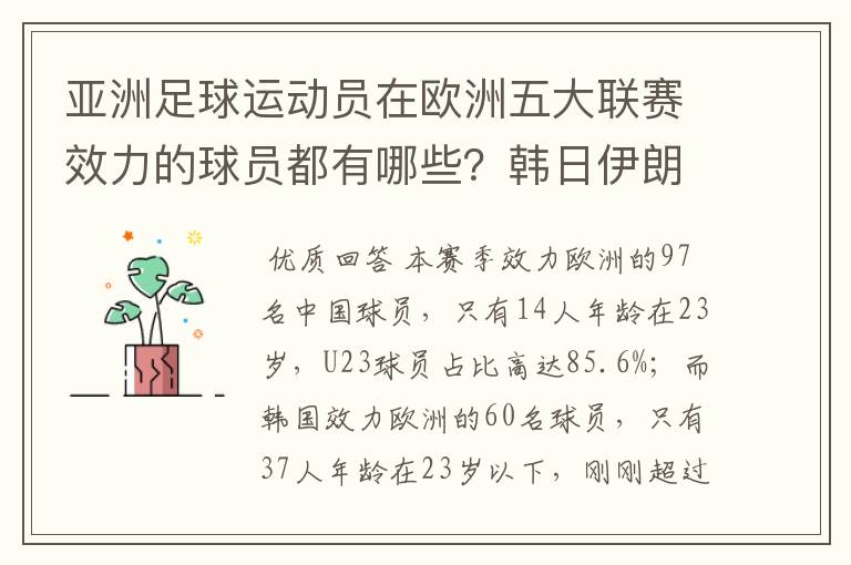 亚洲足球运动员在欧洲五大联赛效力的球员都有哪些?韩日伊朗 都是比较多吧!
