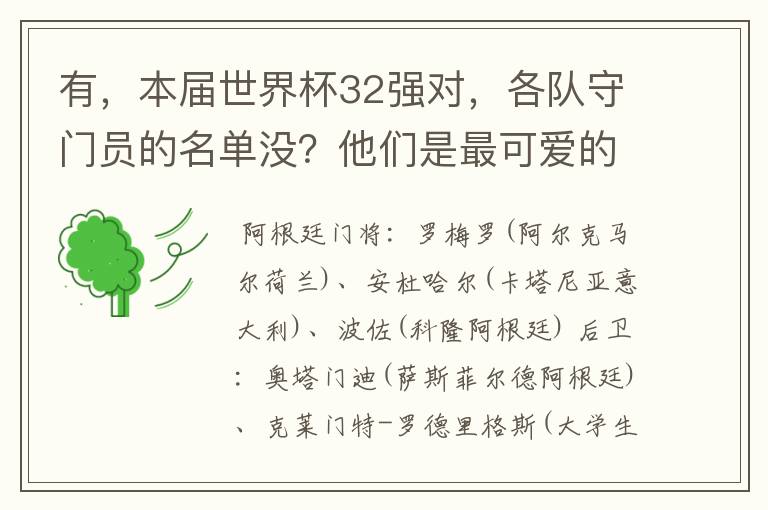 有,本届世界杯32强对,各队守门员的名单没?他们是最可爱的人