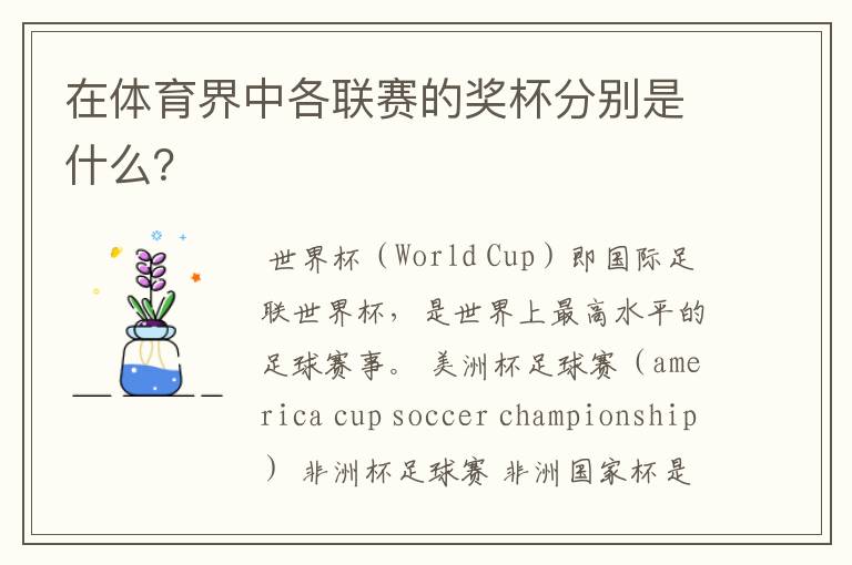 在体育界中各联赛的奖杯分别是什么?