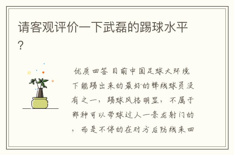 请客观评价一下武磊的踢球水平?