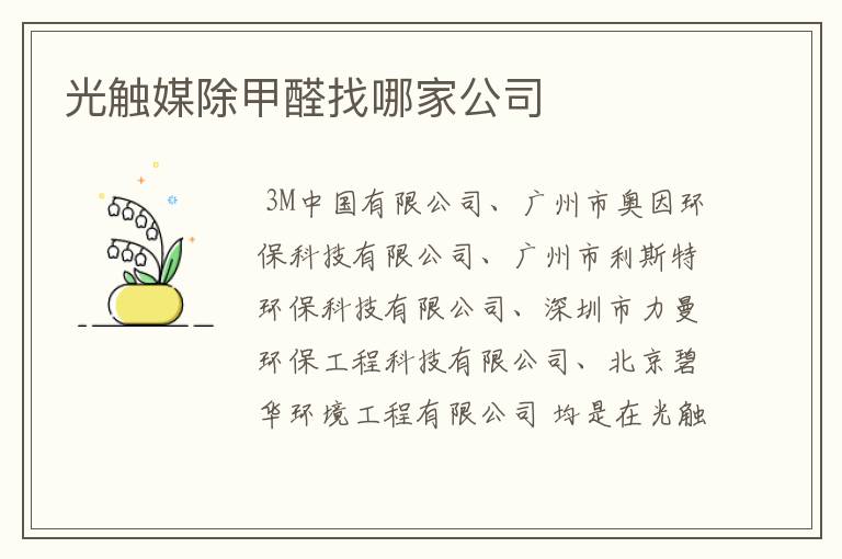 光触媒除甲醛找哪家公司