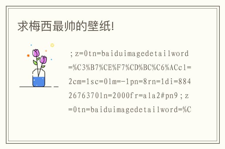 求梅西最帅的壁纸!