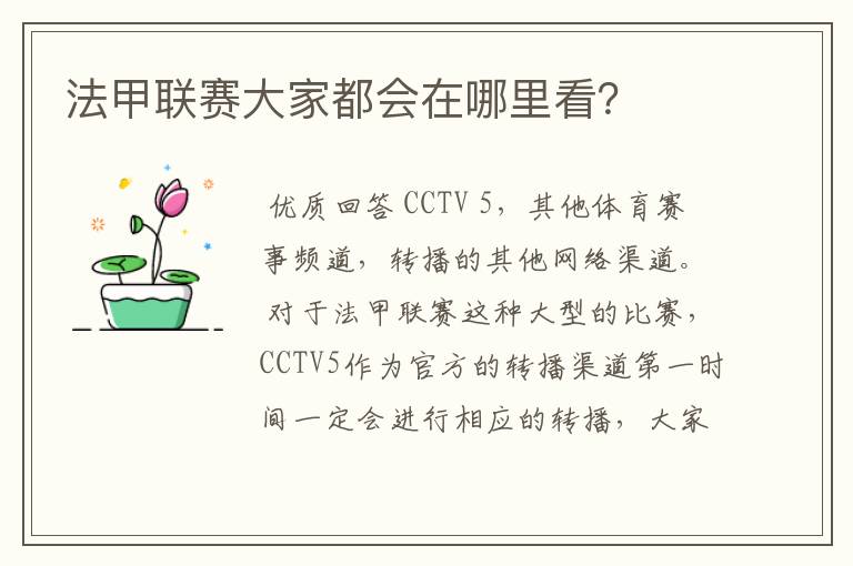 法甲联赛大家都会在哪里看?
