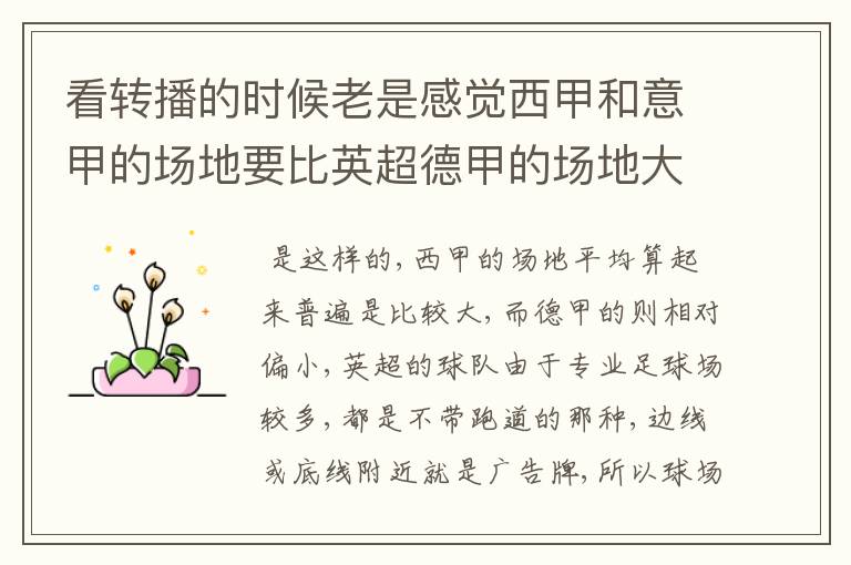 看转播的时候老是感觉西甲和意甲的场地要比英超德甲的场地大很多,