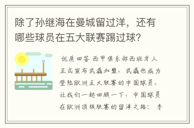 除了孙继海在曼城留过洋,还有哪些球员在五大联赛踢过球?