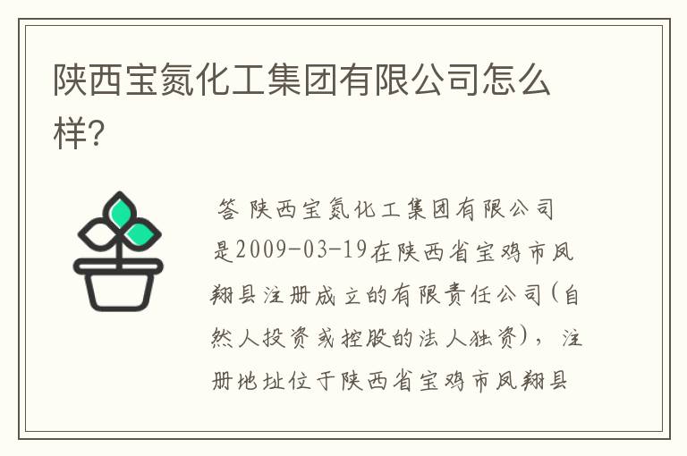 陕西宝氮化工集团有限公司怎么样?