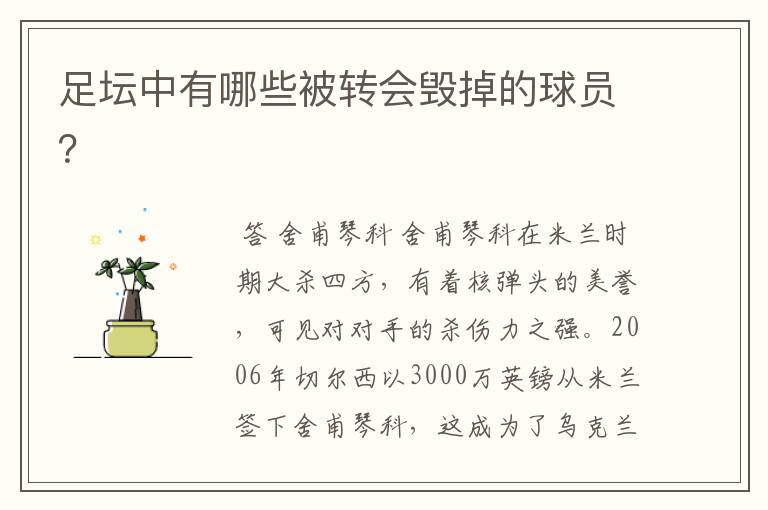 足坛中有哪些被转会毁掉的球员?