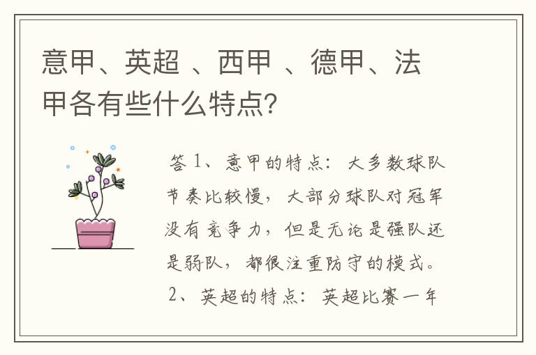 意甲、英超 、西甲 、德甲、法甲各有些什么特点?