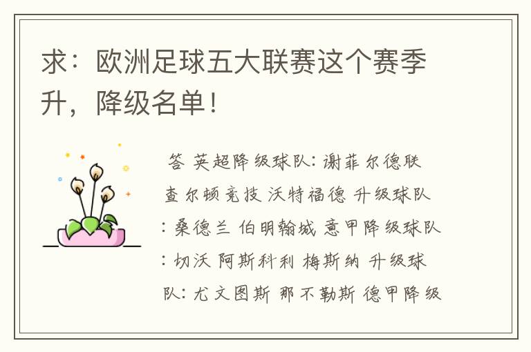 求:欧洲足球五大联赛这个赛季升,降级名单!