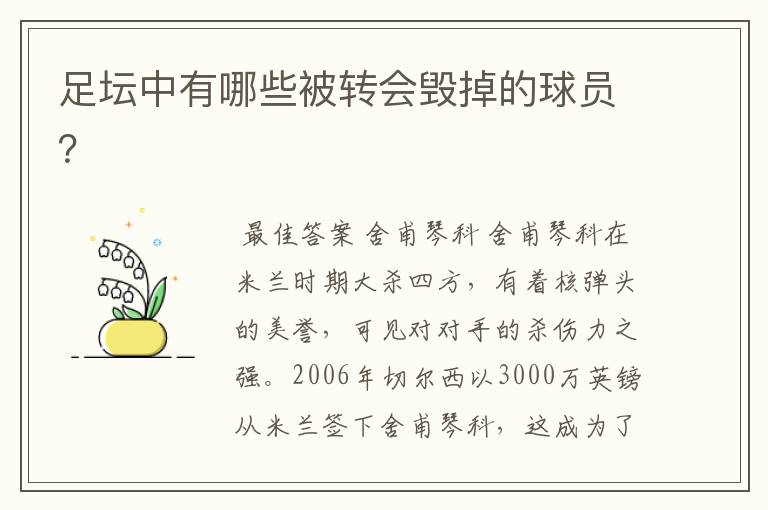 足坛中有哪些被转会毁掉的球员?