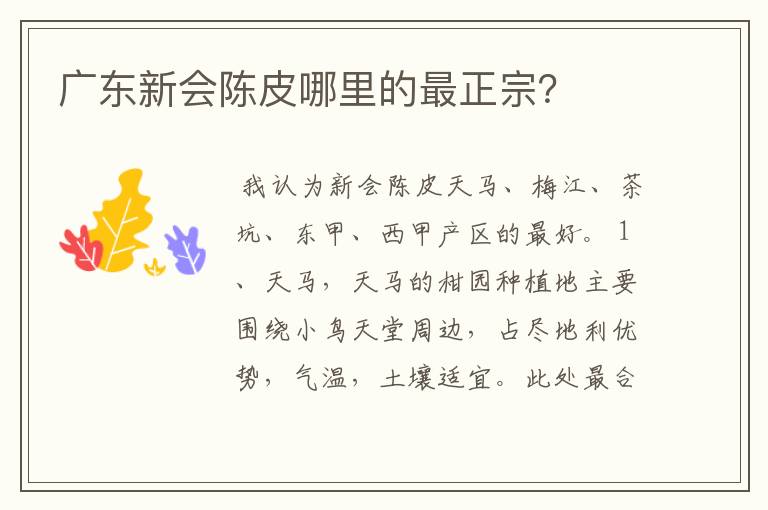 广东新会陈皮哪里的最正宗?