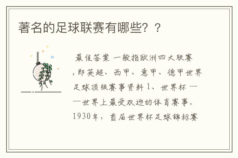 著名的足球联赛有哪些??