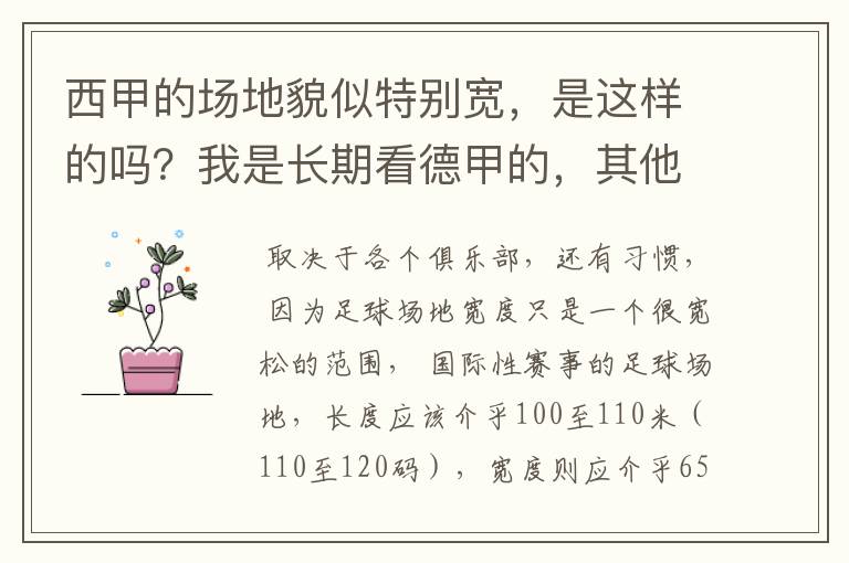 西甲的场地貌似特别宽,是这样的吗?我是长期看德甲的,其他联赛不清楚。