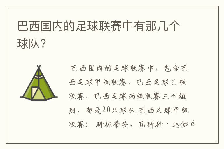 巴西国内的足球联赛中有那几个球队?