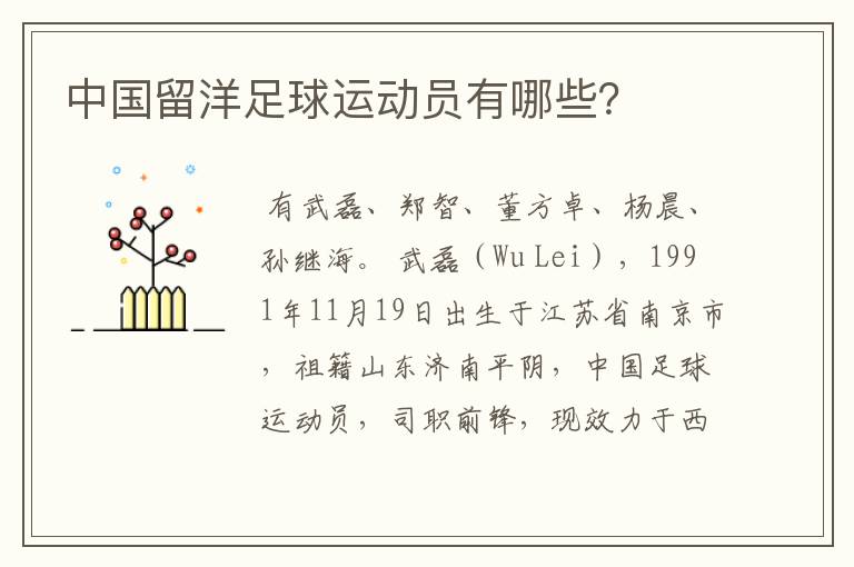 中国留洋足球运动员有哪些?