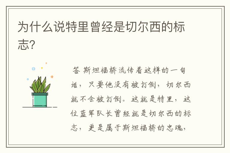 为什么说特里曾经是切尔西的标志?