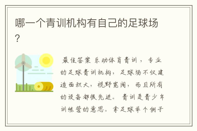 哪一个青训机构有自己的足球场?