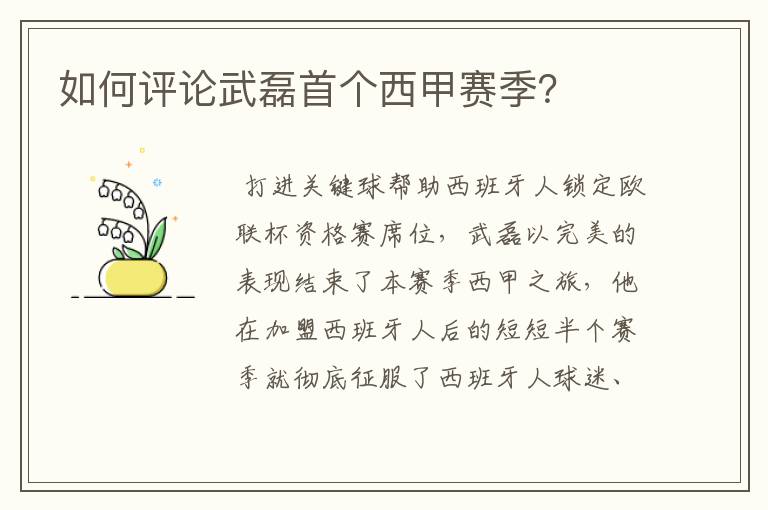 如何评论武磊首个西甲赛季?