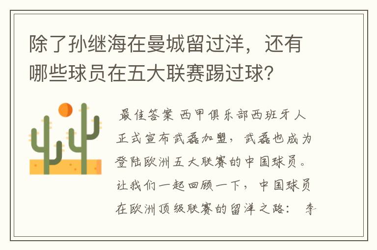 除了孙继海在曼城留过洋,还有哪些球员在五大联赛踢过球?