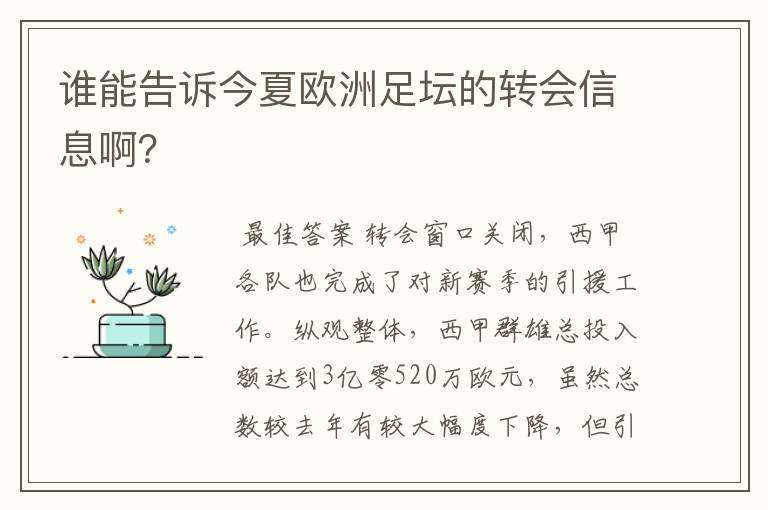 谁能告诉今夏欧洲足坛的转会信息啊?