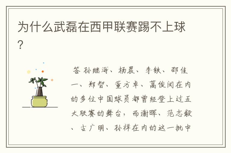 为什么武磊在西甲联赛踢不上球?