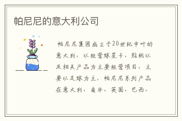 帕尼尼的意大利公司