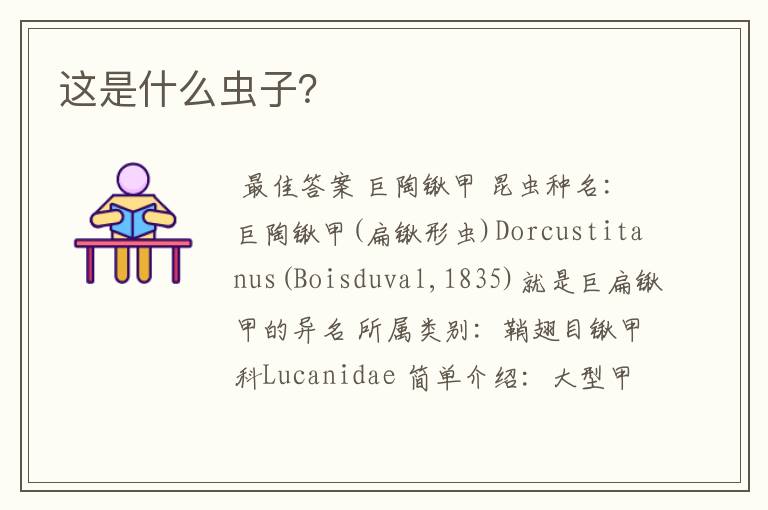 这是什么虫子?