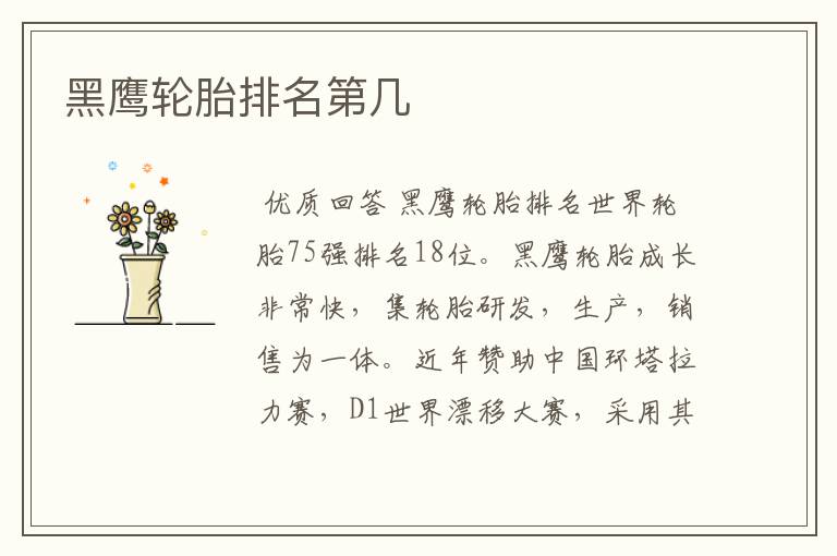 黑鹰轮胎排名第几