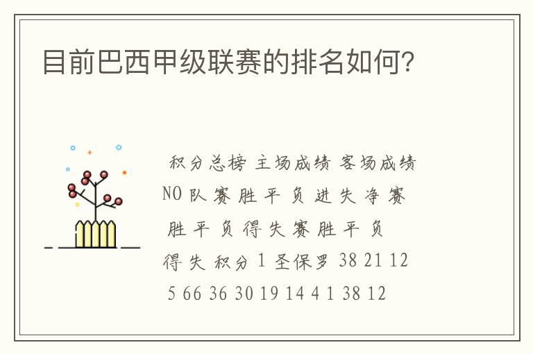 目前巴西甲级联赛的排名如何?