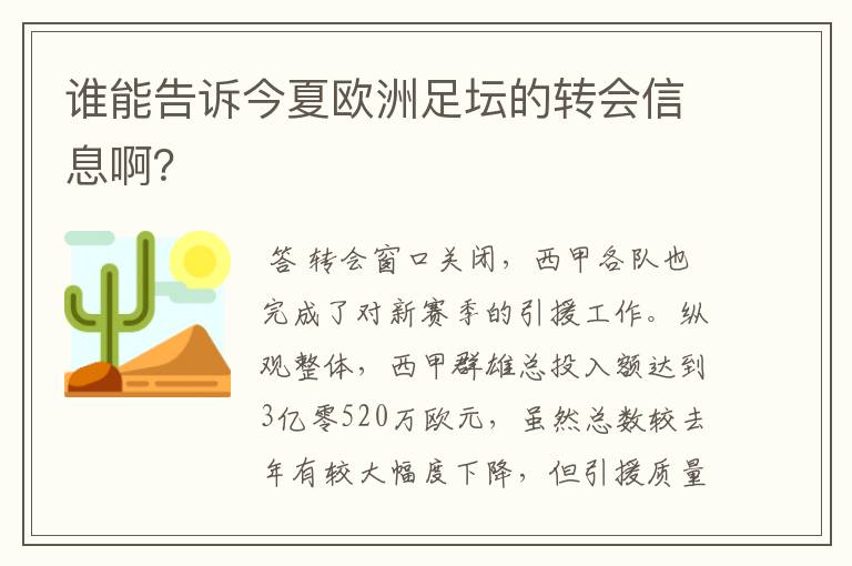 谁能告诉今夏欧洲足坛的转会信息啊?