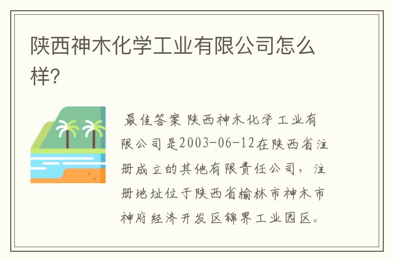 陕西神木化学工业有限公司怎么样?