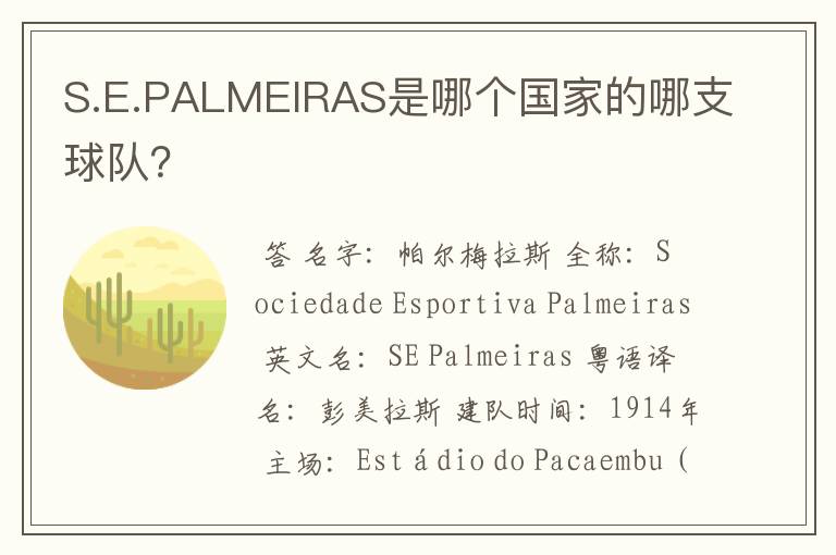 S.E.PALMEIRAS是哪个国家的哪支球队?