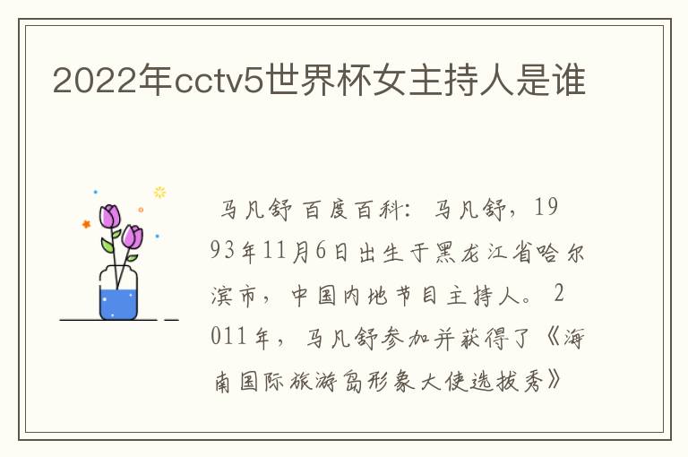 2022年cctv5世界杯女主持人是谁