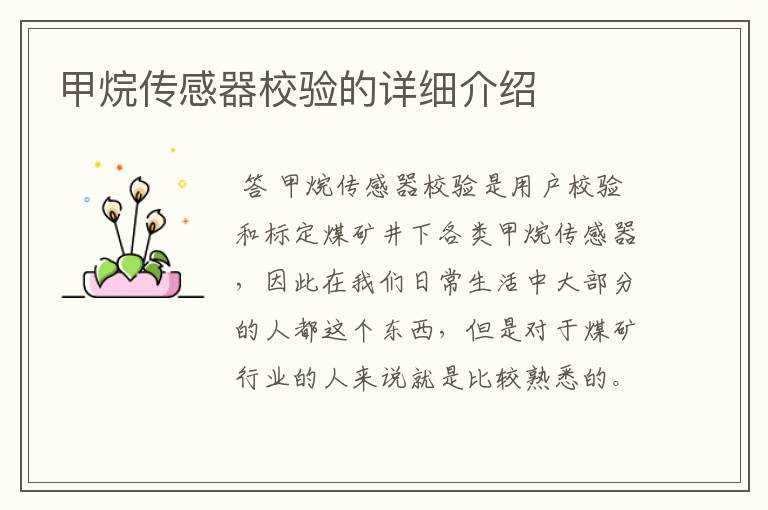 甲烷传感器校验的详细介绍