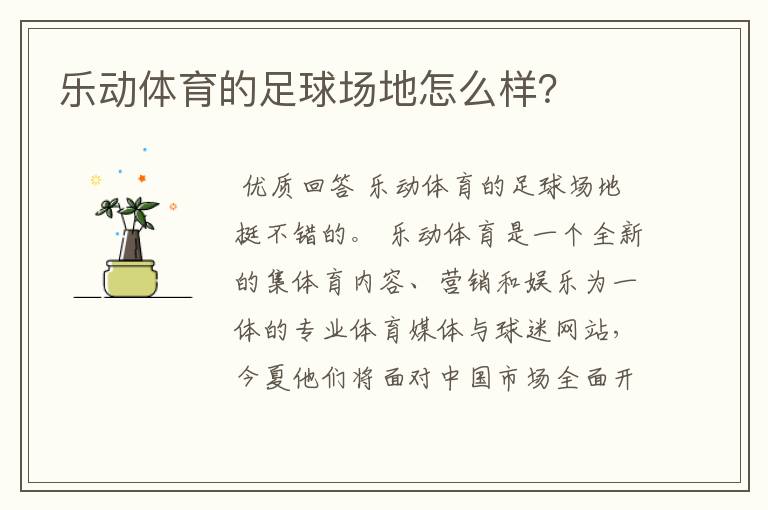 乐动体育的足球场地怎么样?