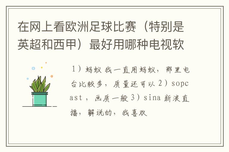 在网上看欧洲足球比赛(特别是英超和西甲)最好用哪种电视软件呢?