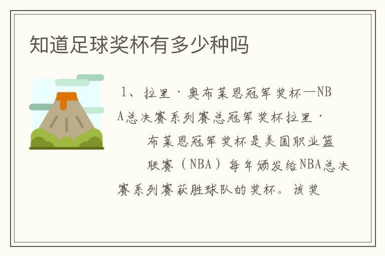 知道足球奖杯有多少种吗