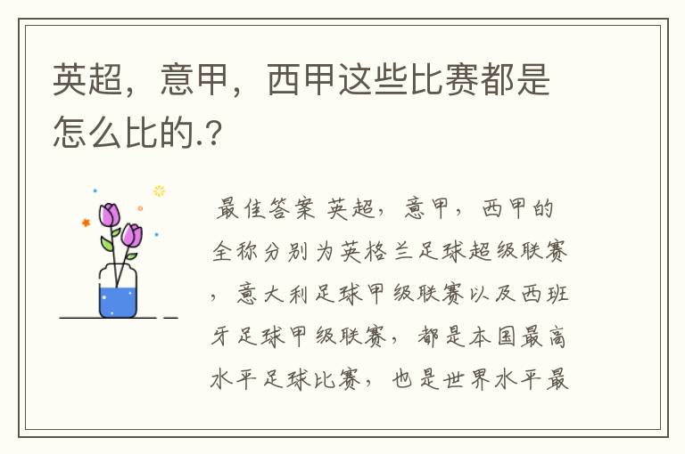 英超,意甲,西甲这些比赛都是怎么比的.?