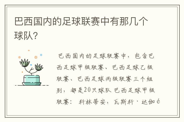 巴西国内的足球联赛中有那几个球队?