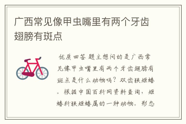 广西常见像甲虫嘴里有两个牙齿翅膀有斑点