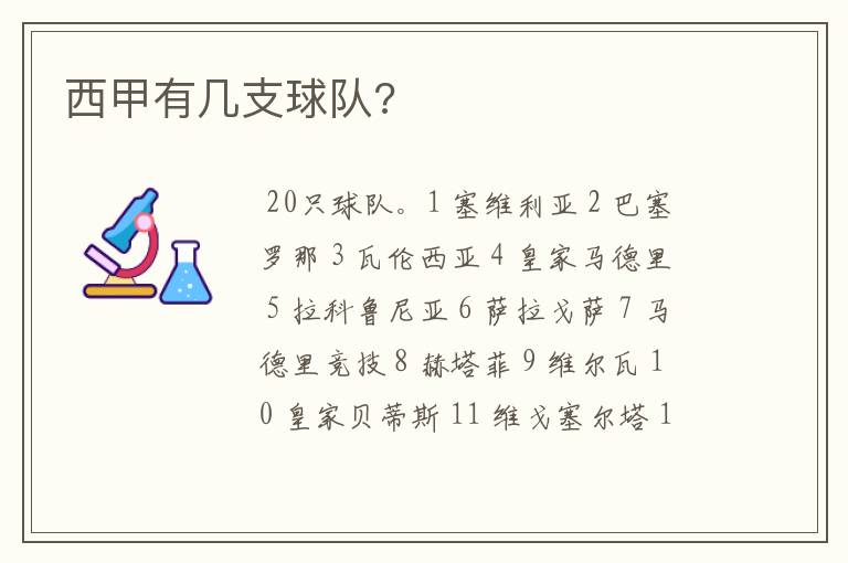西甲有几支球队?
