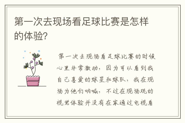 第一次去现场看足球比赛是怎样的体验?