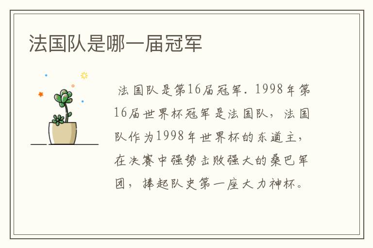 法国队是哪一届冠军