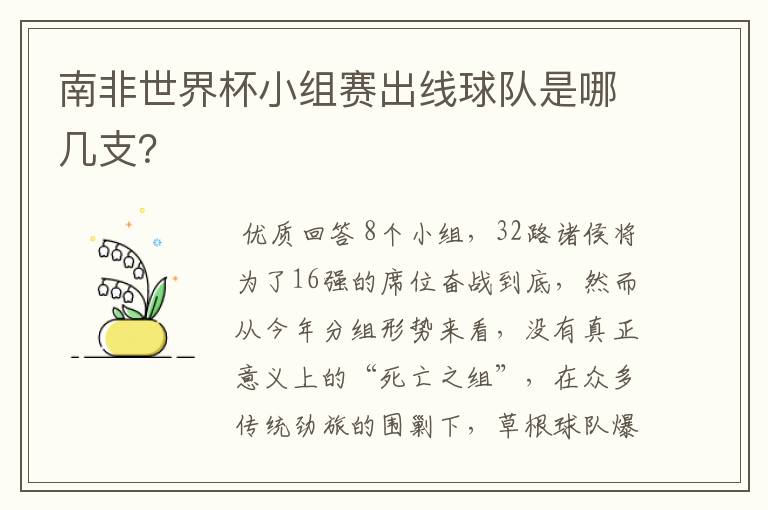 南非世界杯小组赛出线球队是哪几支?