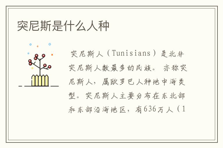 突尼斯是什么人种