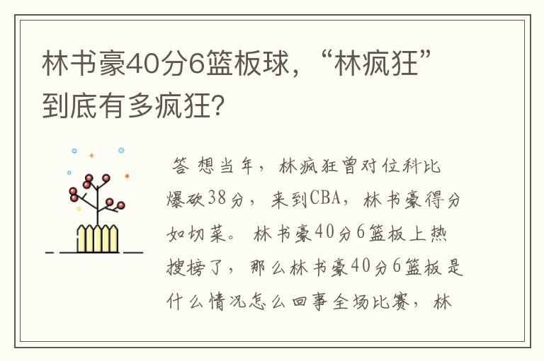 林书豪40分6篮板球,“林疯狂”到底有多疯狂?